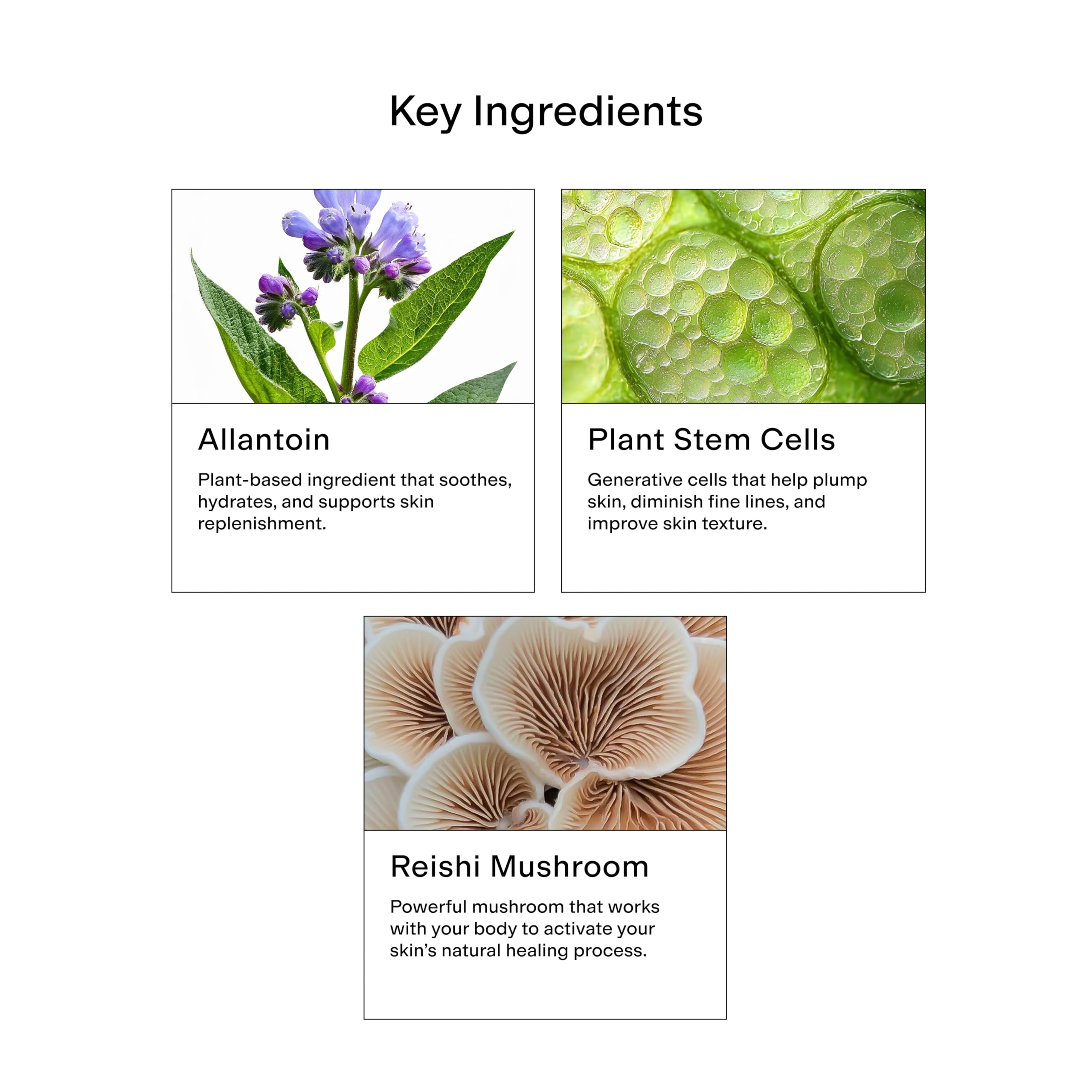 CLEARSTEM clear label close-up showing ingredient transparency benefit