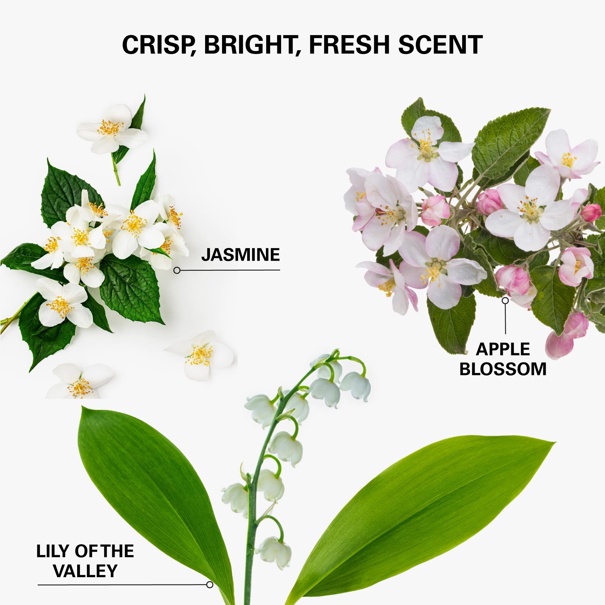 COLOR WOW product on bathroom shelf for convenient daily refresh