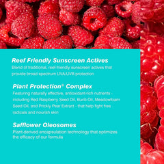 COOLA label detail showing plant actives list and clean ingredient benefits