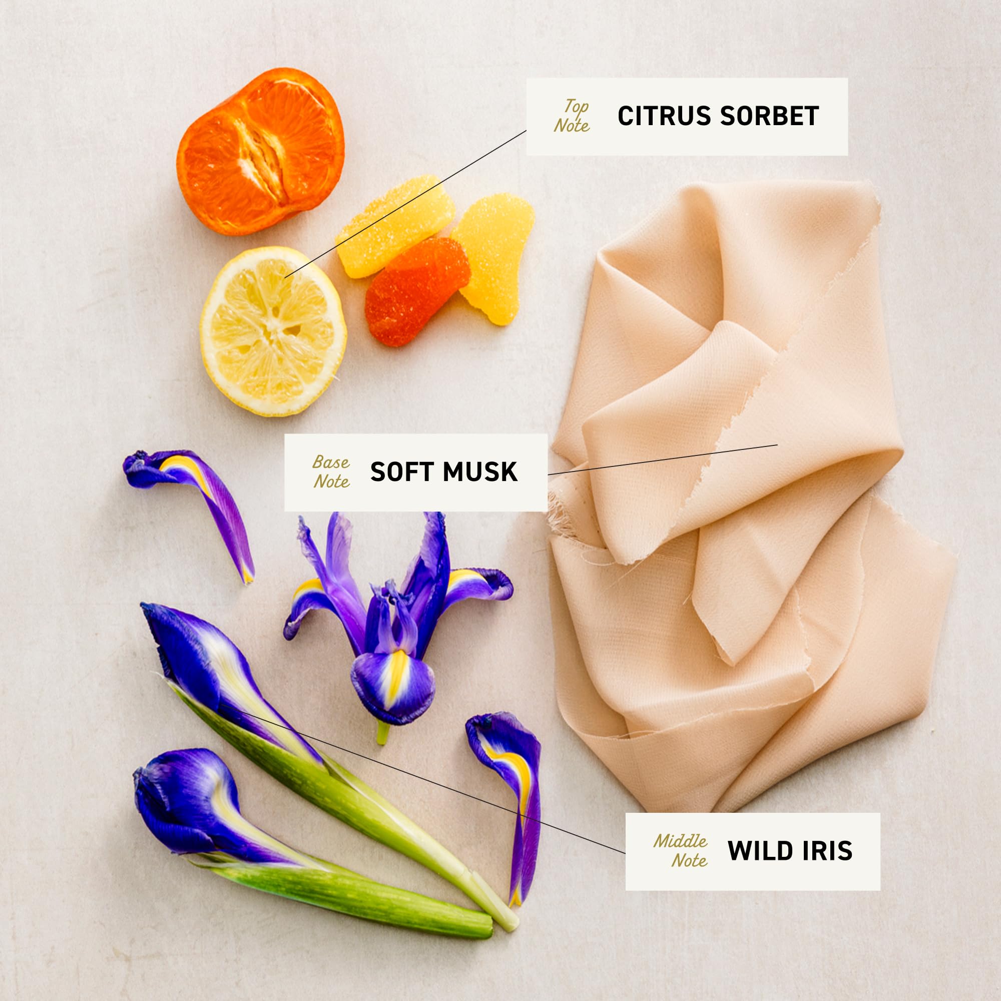 Cremo lather texture demonstrating rich foam that moisturizes and spreads evenly