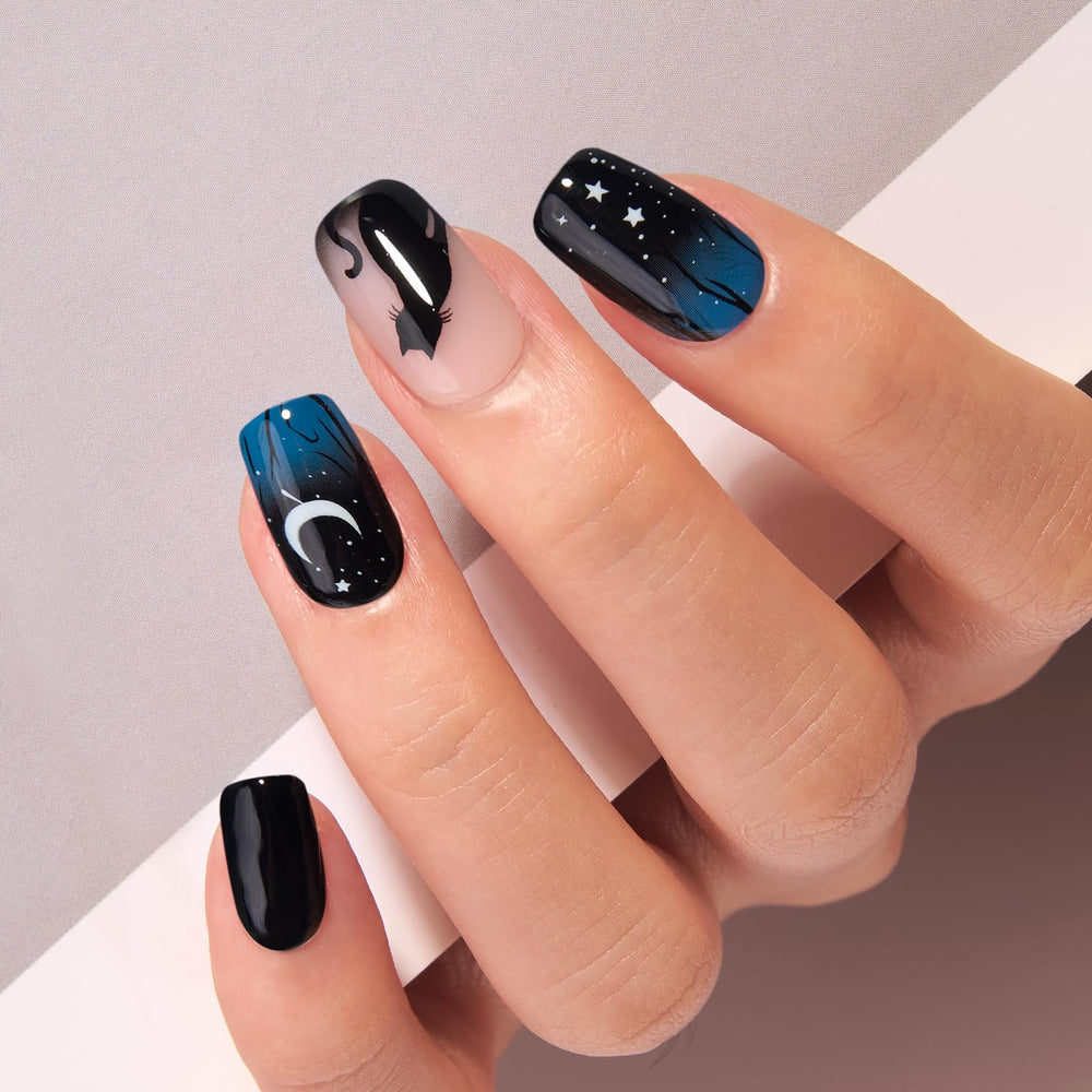 CurvLife front packaging showing full press-on nail set and storage box benefit: organized kit