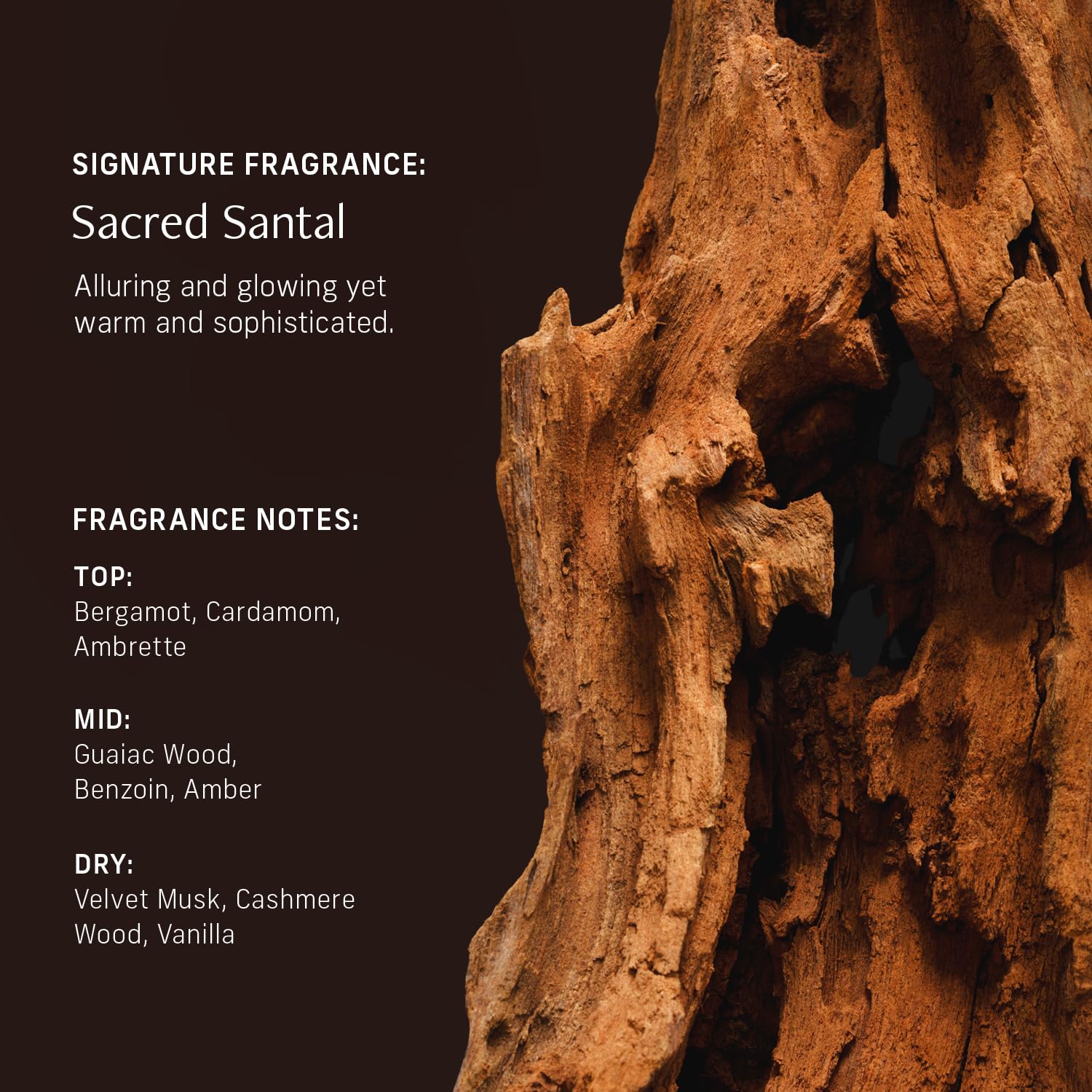 CYKLAR Sacred Santal bottle in shower setting showing easy daily use