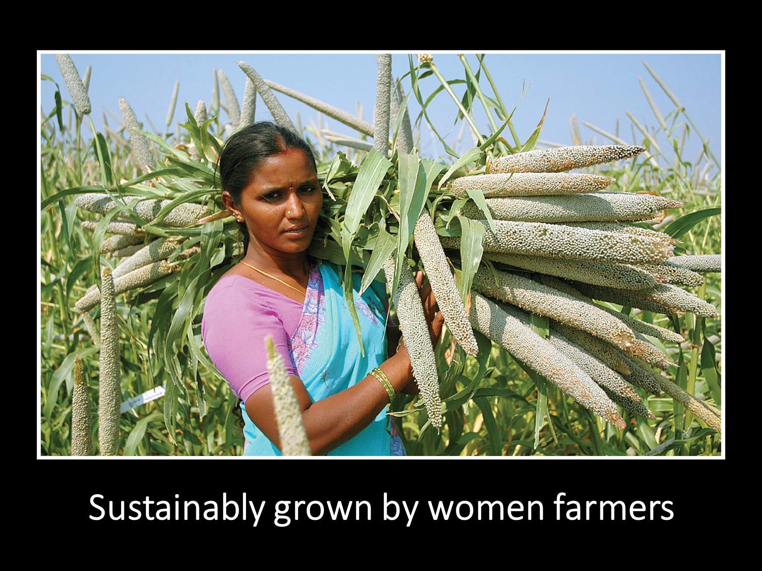 DAANA farmers in field representing sustainable sourcing and fair-trade benefits