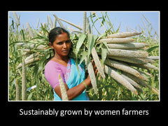 DAANA farmers in field representing sustainable sourcing and fair-trade benefits