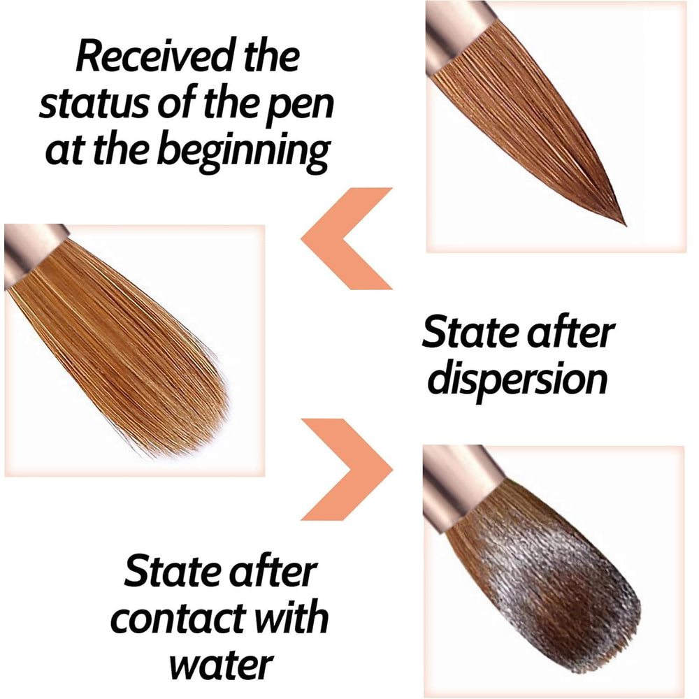 DAIXIANGER hand holding brush showing scale and professional balance