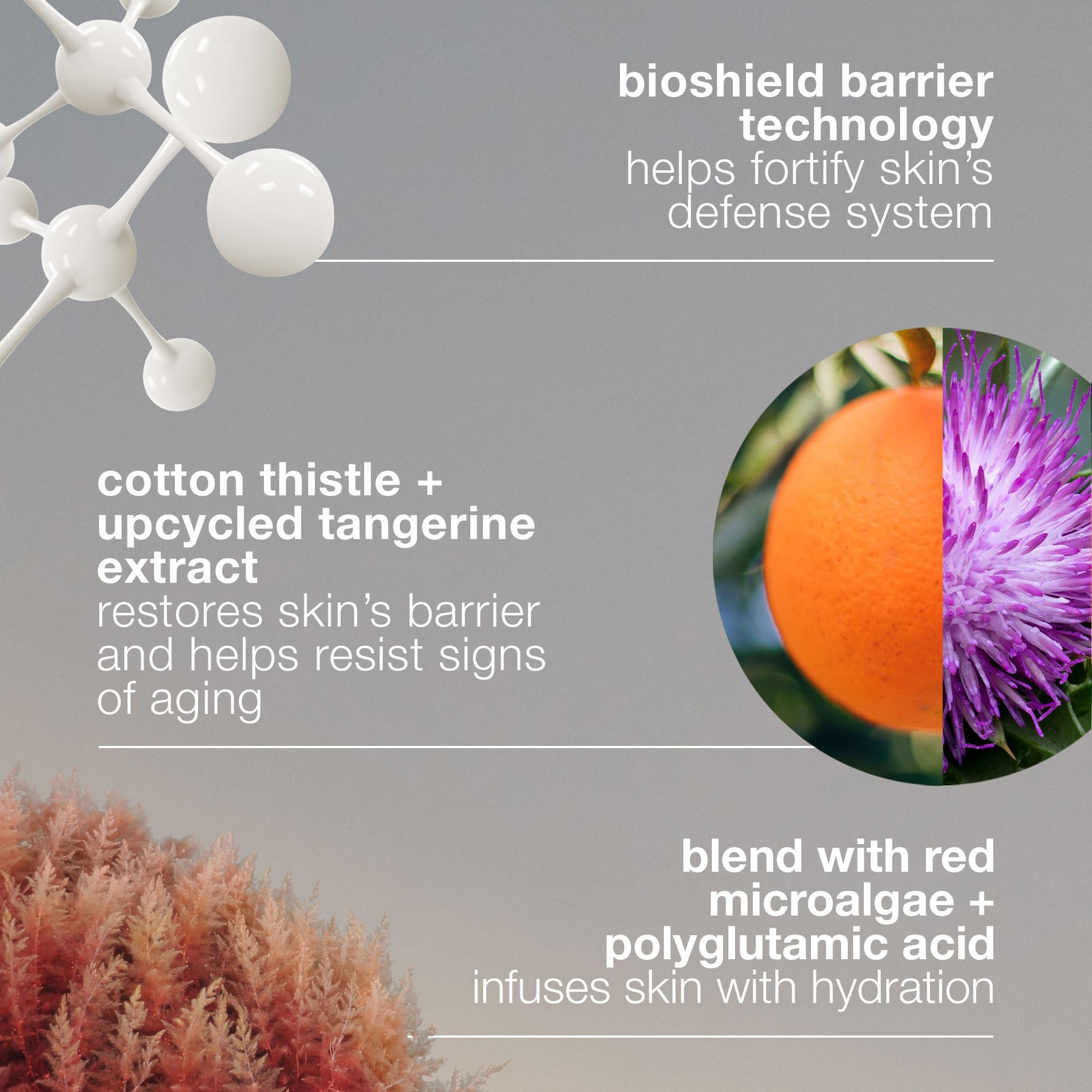 Dermalogica squalane oil detail illustrating lipid-restoring ingredient for softer skin