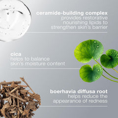 Dermalogica label close-up showing ingredient highlights for barrier support