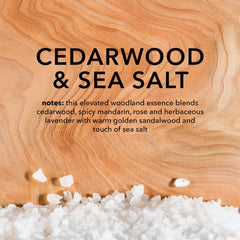 Cedarwood and sea salt props beside Dionis bottle, evokes fresh scent and daily use