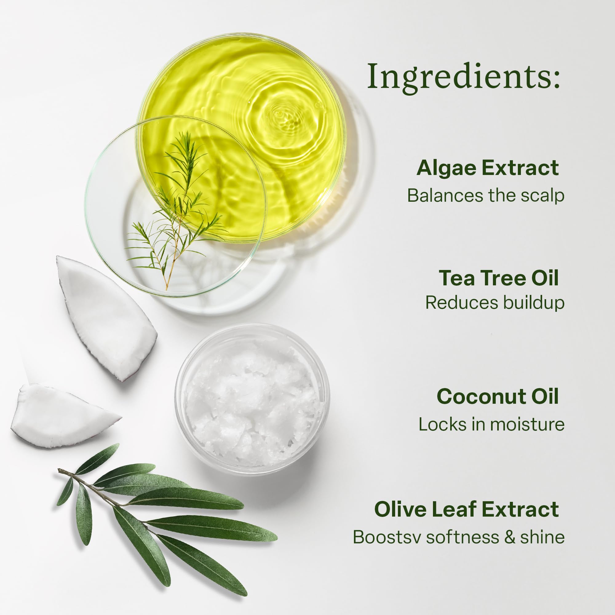 Divi conditioner applied in hands, shows spreadability and lightweight feel