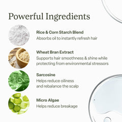 divi dry shampoo held in hand for scale indicating travel-friendly benefit