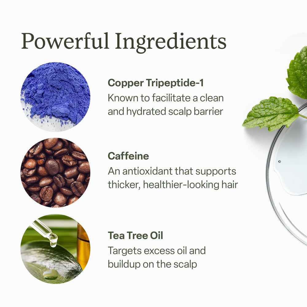 Peppermint and rosemary next to Divi bottle highlighting natural actives benefit