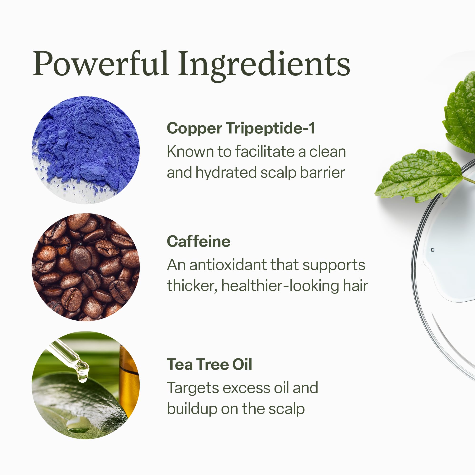 divi scalp serum pictured next to hair extensions demonstrating compatibility benefit