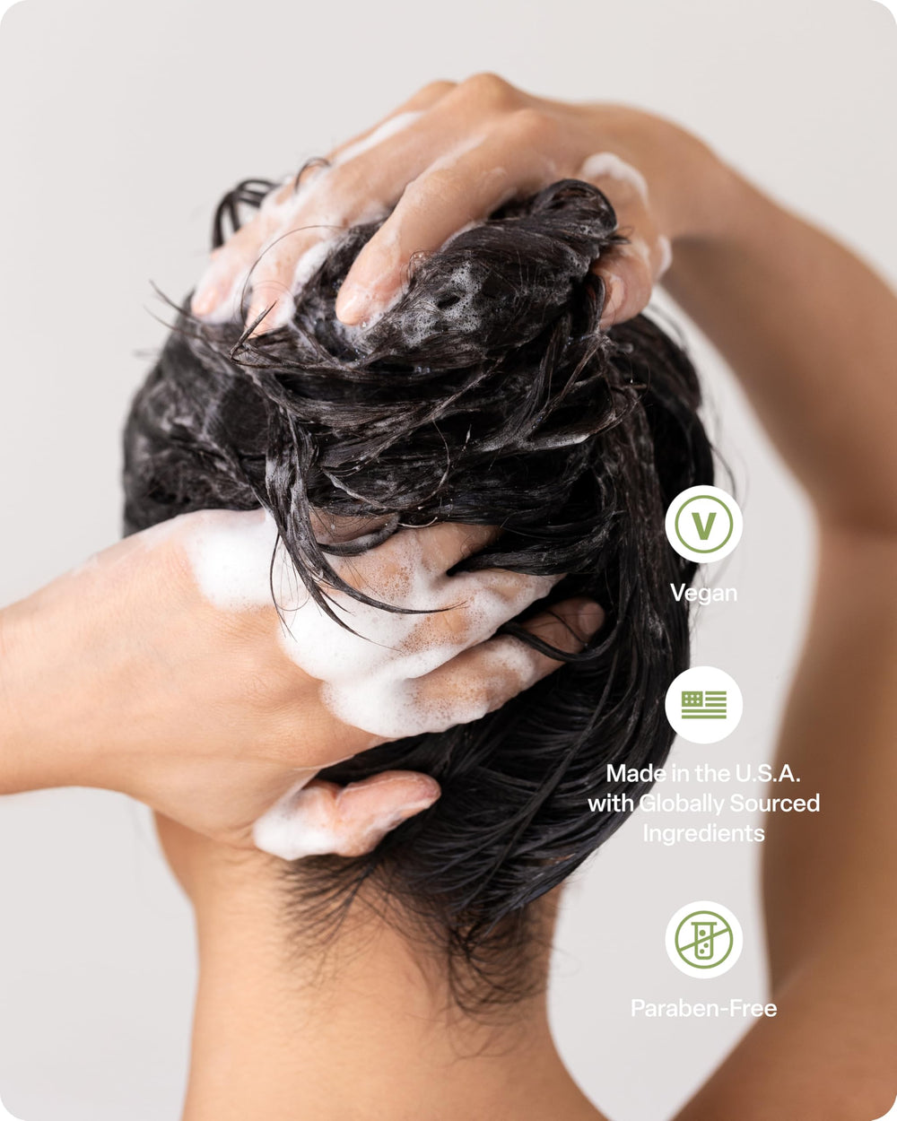 Divi active ingredients layout with green tea and rice protein for strengthening benefit