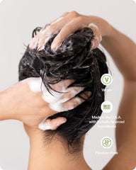 Divi active ingredients layout with green tea and rice protein for strengthening benefit