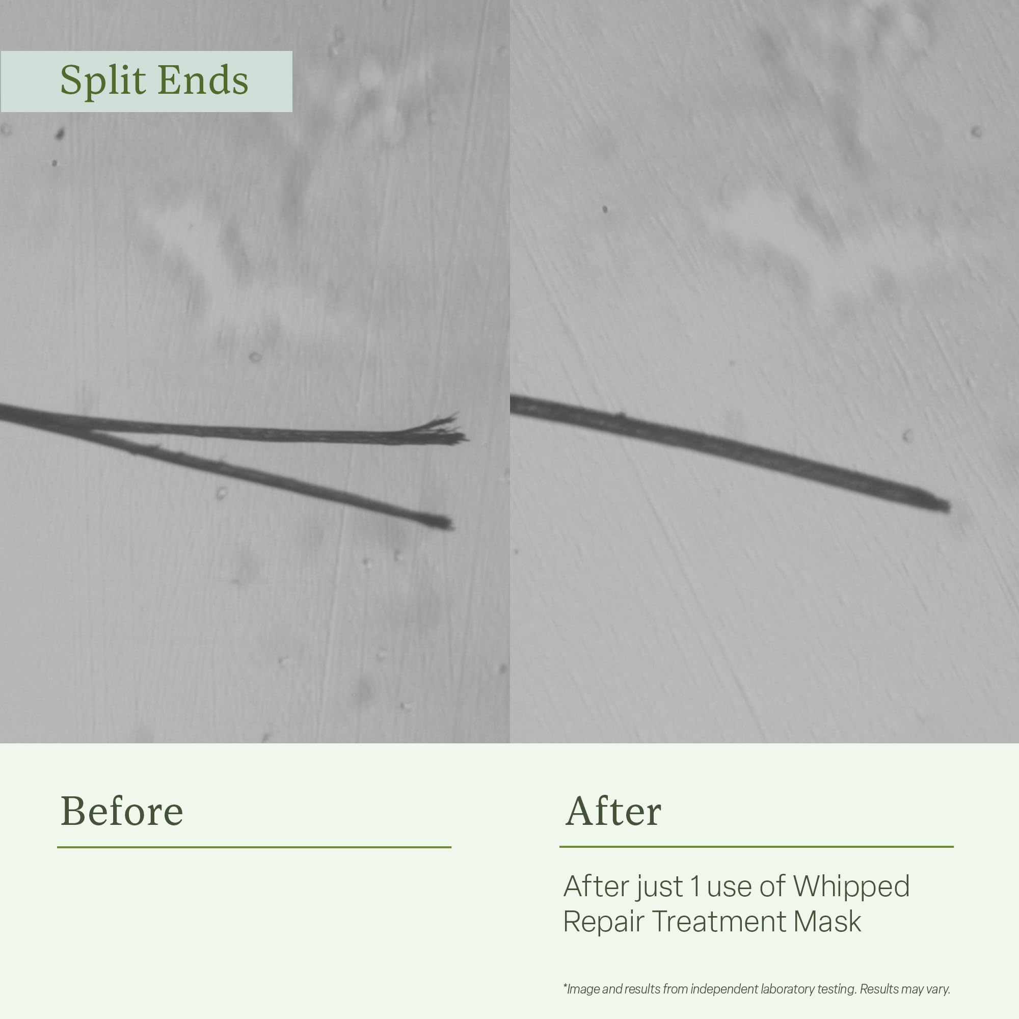 Divi label close-up highlighting ingredients that strengthen bonds