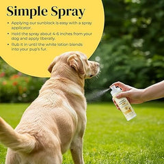 Divine Canine being applied to a dog’s ears for sun protection