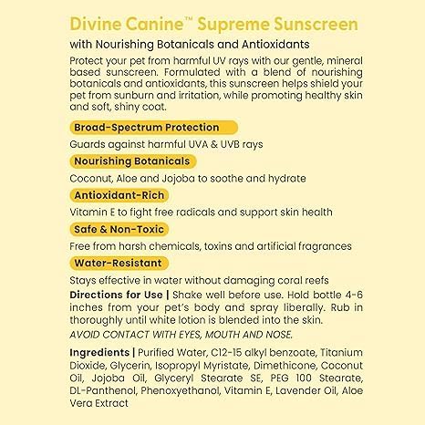 Divine Canine used on dog at beach illustrating outdoor sun protection