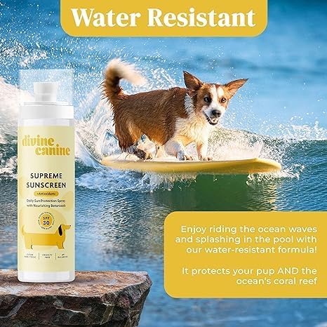 Divine Canine bottle next to hand showing compact travel-friendly size