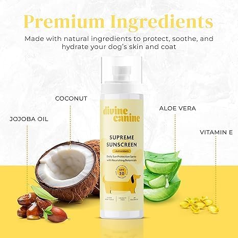 Divine Canine texture on fur displaying even mineral coverage benefit