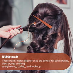Dizila clip in use on hair demonstrating easy sectioning and styling benefit