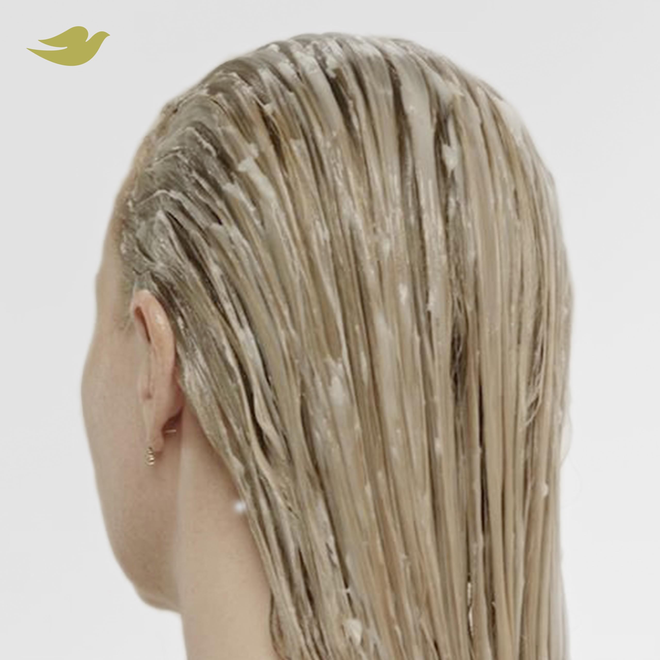 Dove cream texture scoop illustrating concentrated peptides for repair