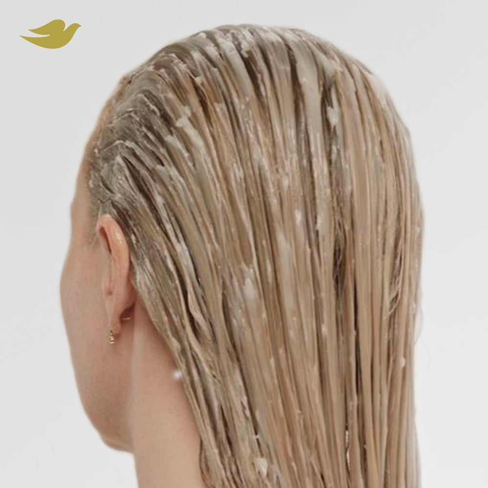 Dove cream texture scoop illustrating concentrated peptides for repair