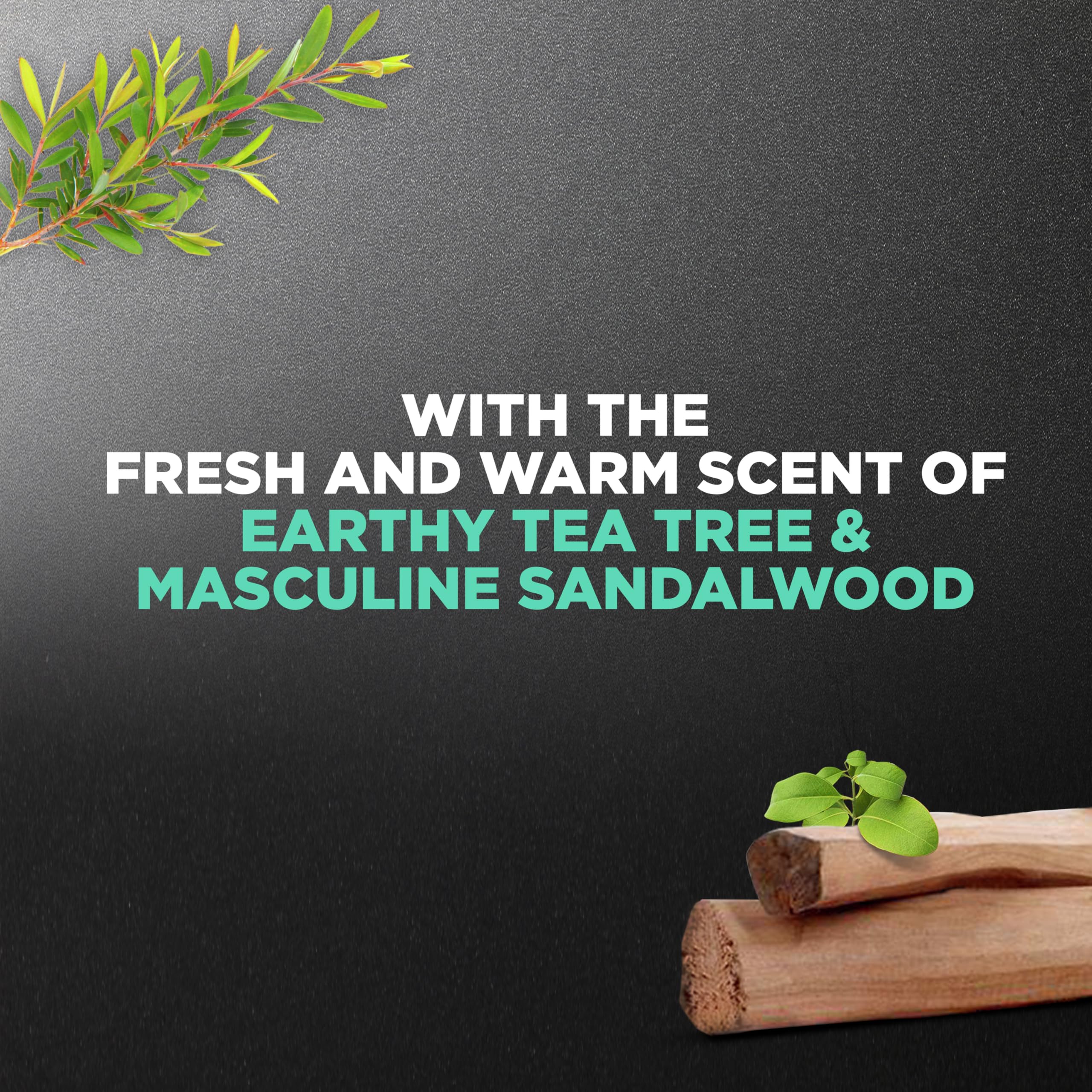 Dove Men+Care ingredients flatlay with tea tree and sandalwood, highlights natural scent