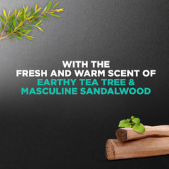 Dove Men+Care ingredients flatlay with tea tree and sandalwood, highlights natural scent