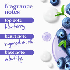 Blueberries and milk visual next to Dove illustrating the scent