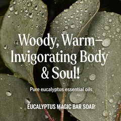 Dr. Bronner's eucalyptus bar wrapped in recycled paper emphasizing eco-friendly packaging