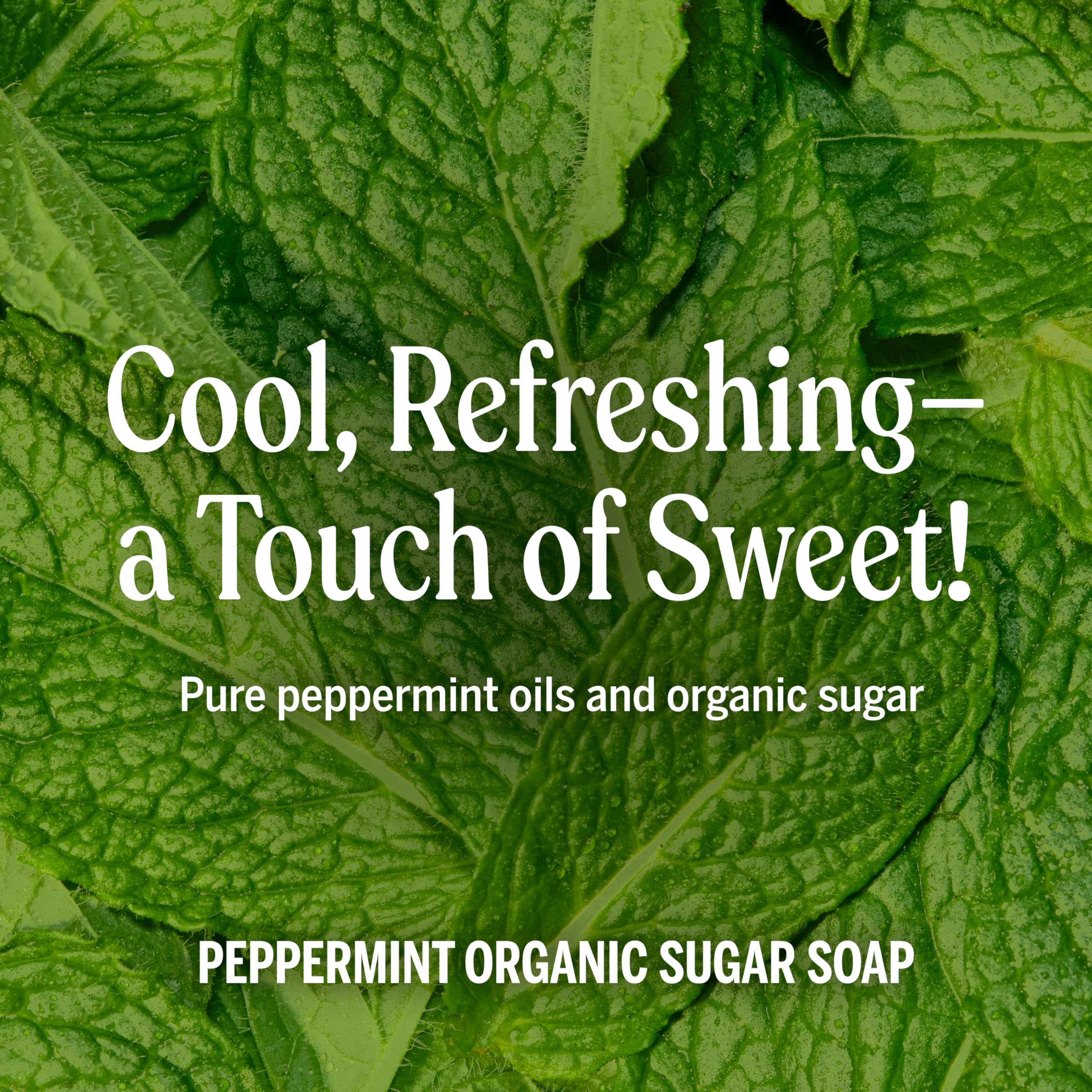Close-up of sugar and shikakai powder ingredients used by Dr. Bronner's for gentle cleansing