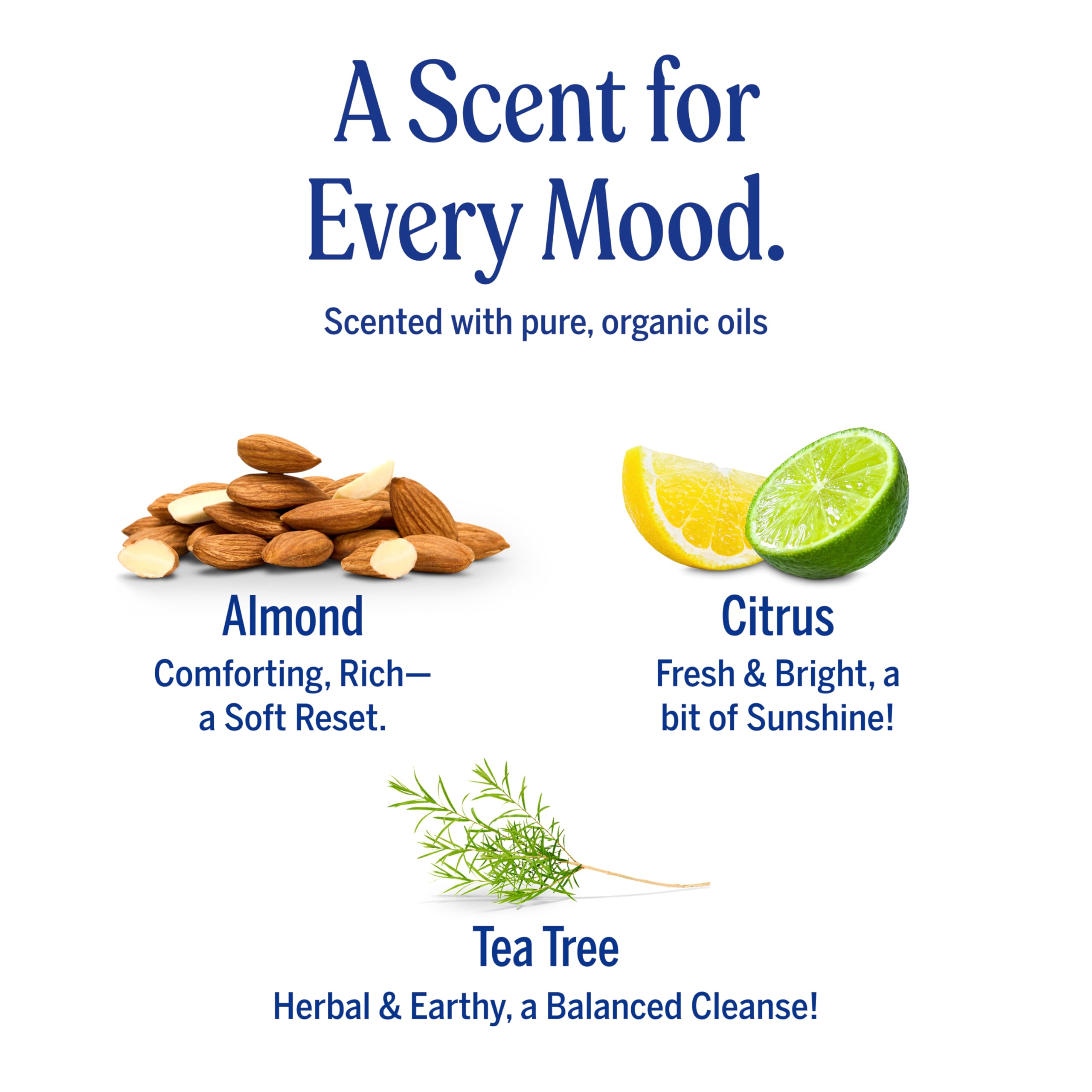 Dr. Bronner's thick lather on hands demonstrating effective gentle cleanse