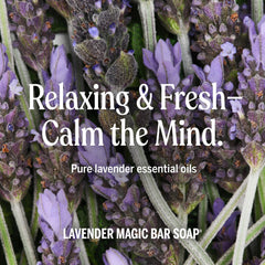 Dr. Bronner's lavender bar resting on draining soap dish promoting longer use
