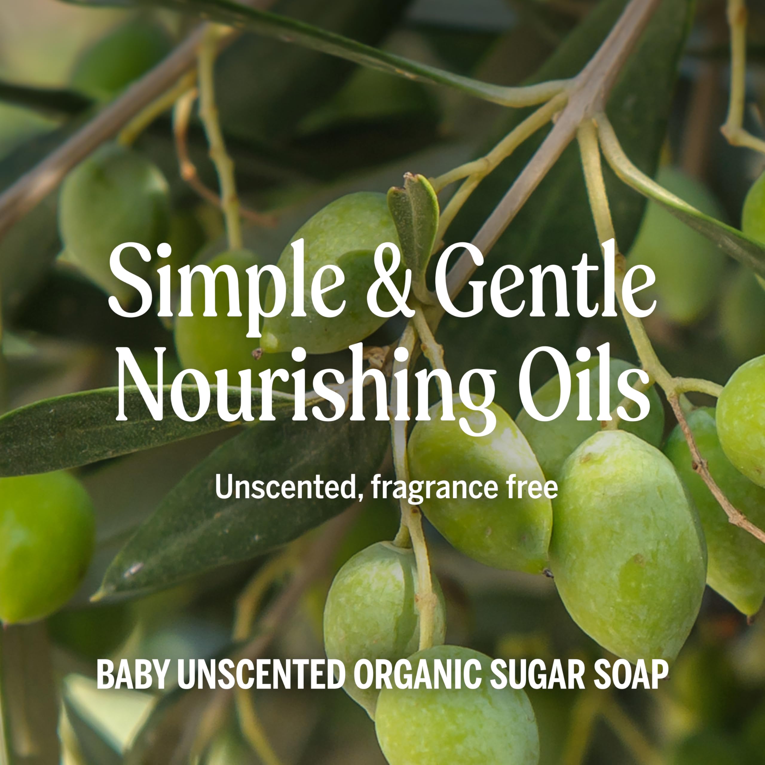 Detail of organic shikakai powder ingredient for natural conditioning in Dr. Bronner's