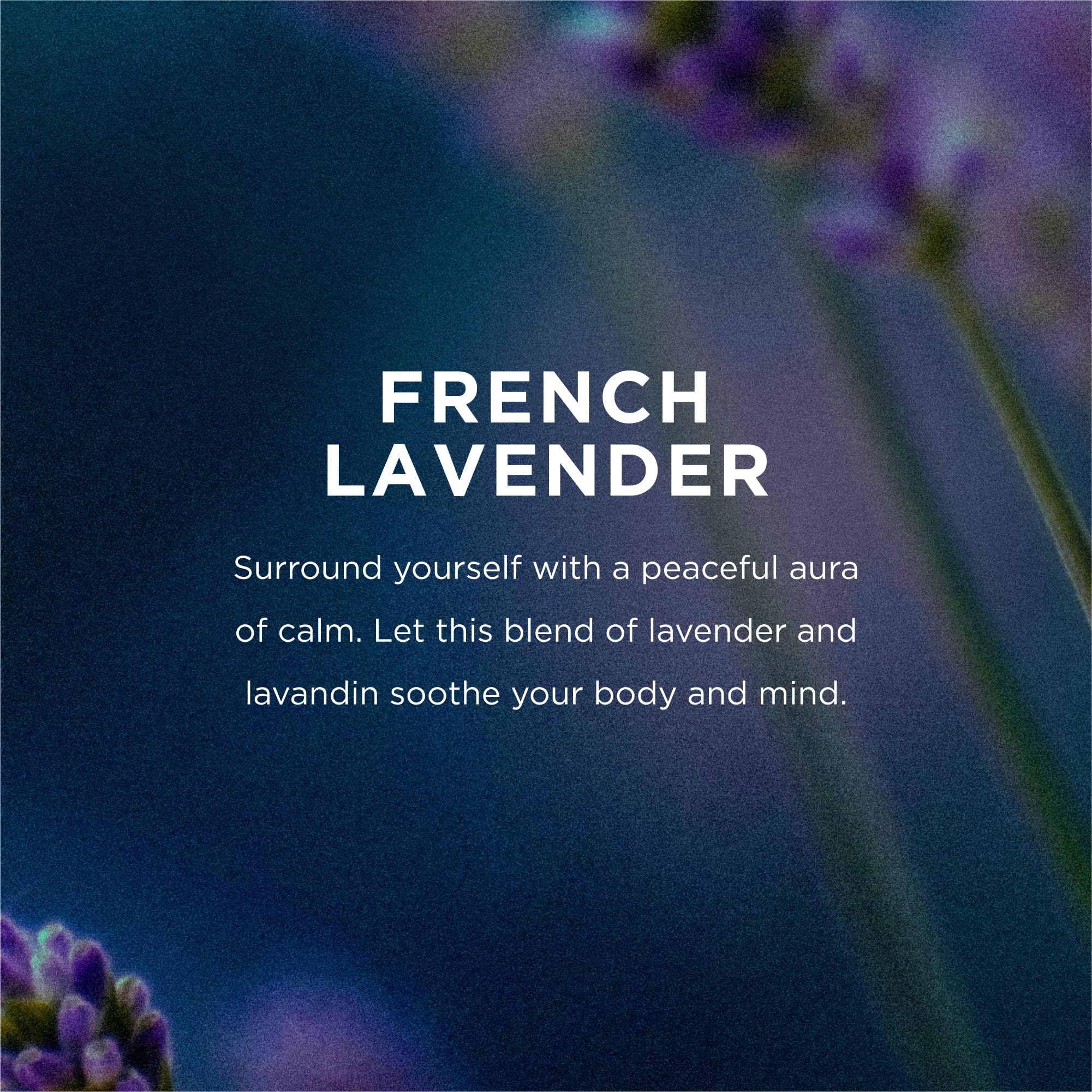 EO soap lather texture highlighting gentle cleansing and softening effect