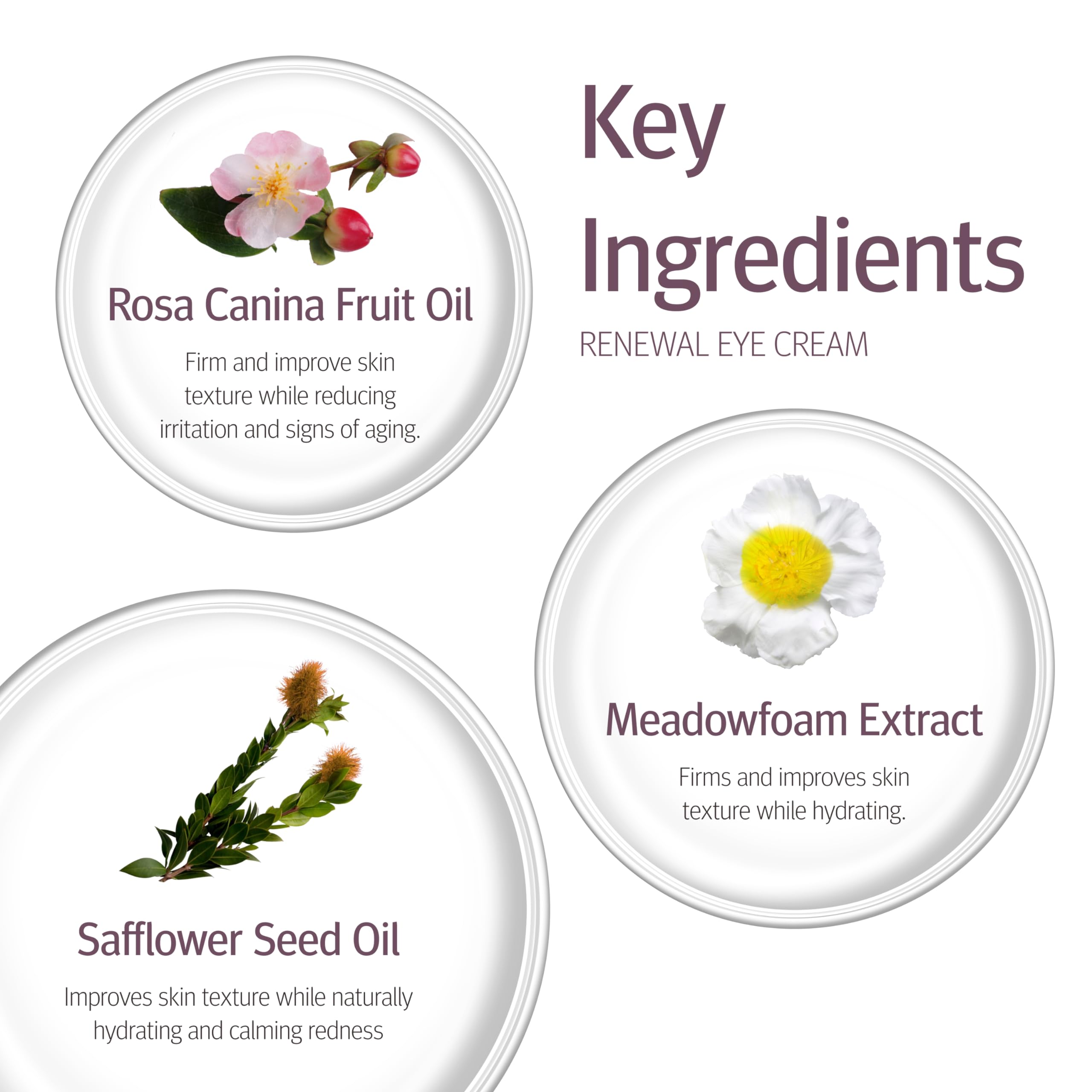 Side label of Epionce Renewal Eye Cream highlights key ingredients and benefits