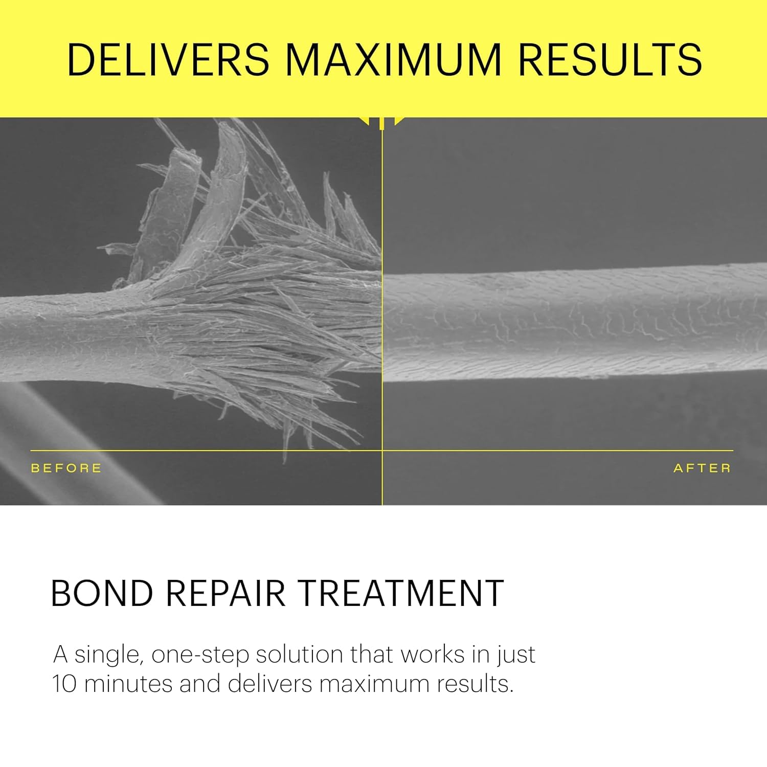 epres application on dry hair showing targeted mid-lengths and ends repair