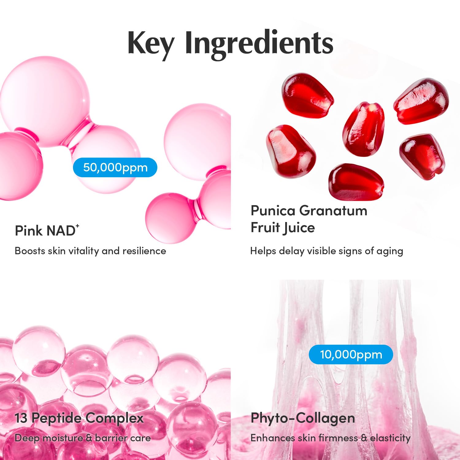 EQQUALBERRY jar label closeup showing product details and peptide complex benefits