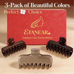 ETANEAR three clips in wine red, chocolate brown, khaki showing fashionable color choices