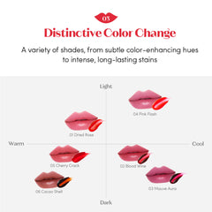 ETUDE gradient lip look using Cacao Shell for buildable intensity and soft finish