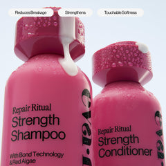EVA·NYC shampoo on bathroom shelf suggesting daily routine benefits