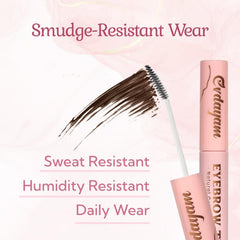 Evdayam application demonstration applying tint to sparse hairs for fuller brows