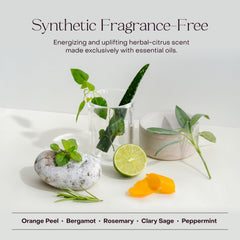 Everist lifestyle shower shelf arrangement showcasing neat, plant-based routine