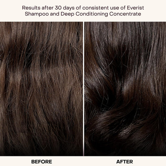 Everist shampoo tube close-up highlighting concentrated formula benefits