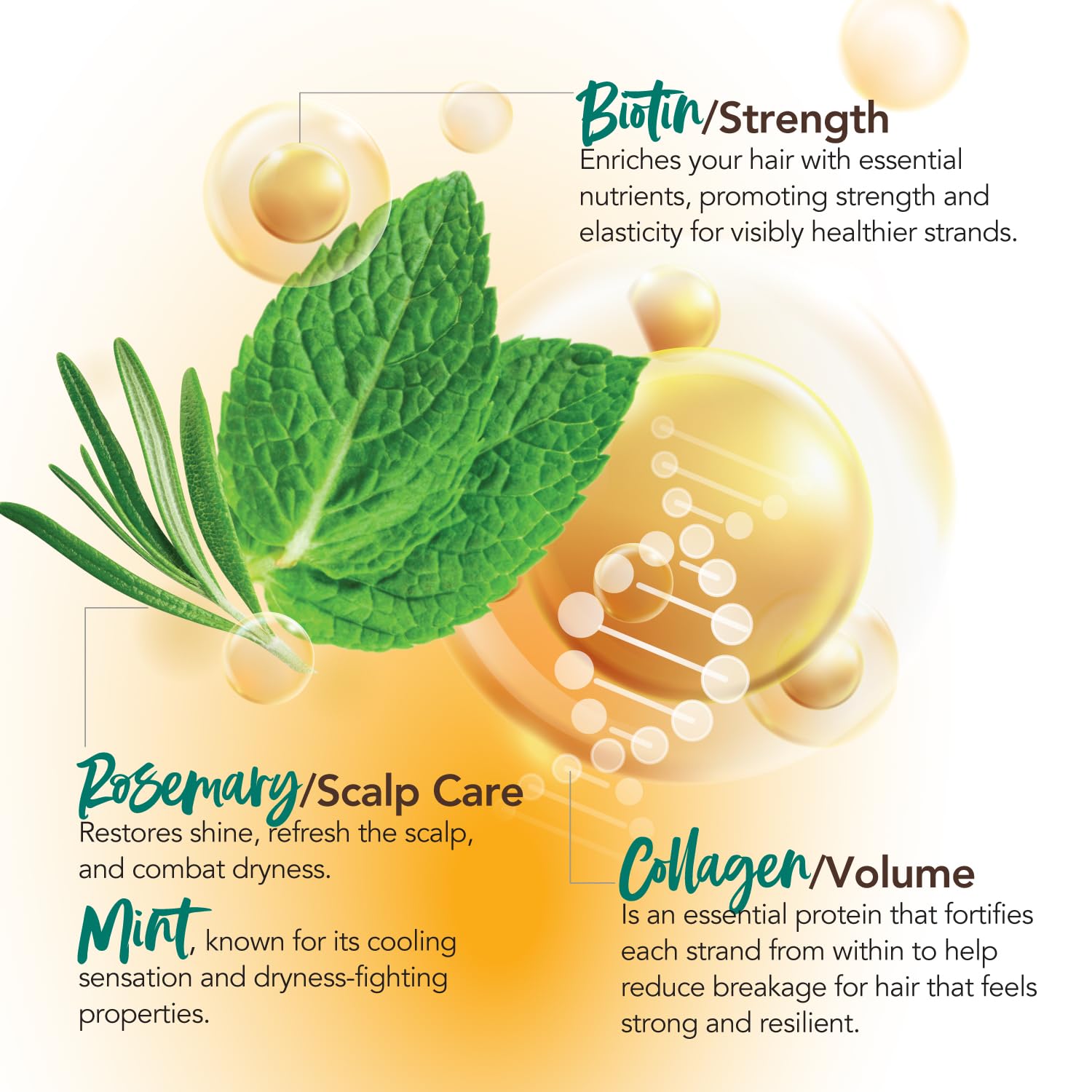 Every Strand rosemary and mint visual implying refreshing scent