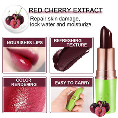 evpct aloe stick closeup texture highlighting jelly finish and soothing hydration