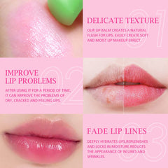 evpct aloe vera ingredient shot highlighting natural extracts for soothing moisture