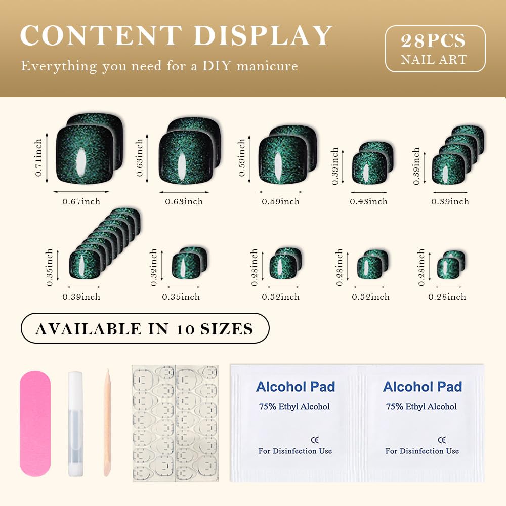 evpct laid-out nails showing size range for correct fit