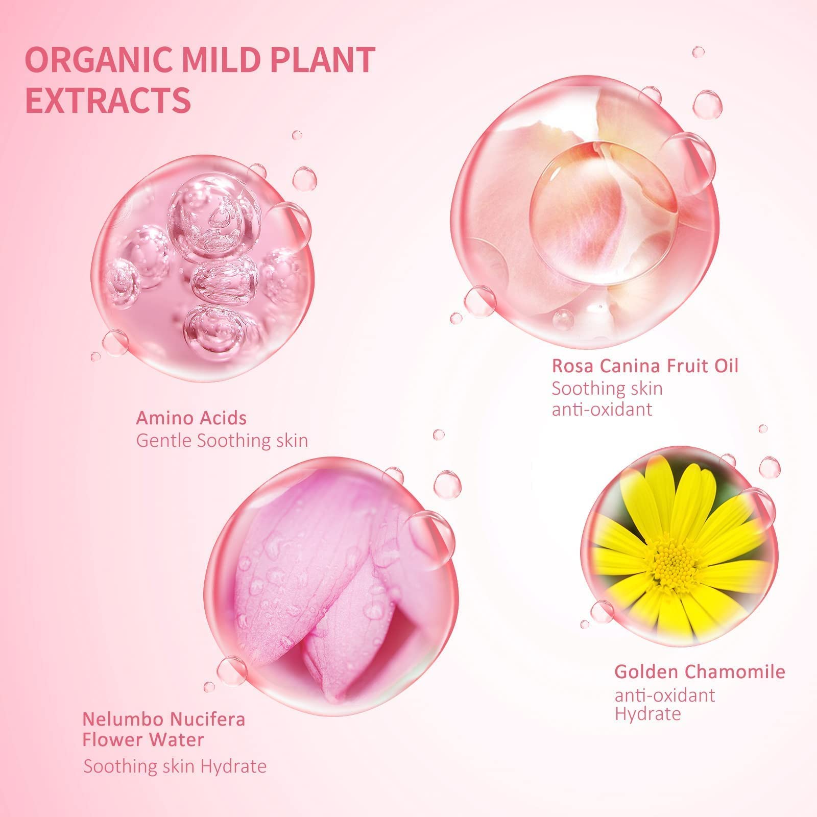 FANMIN size comparison 60ml display for travel-friendly salon and home use