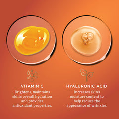 Findley serum in morning routine next to moisturizer showing layered skincare benefit